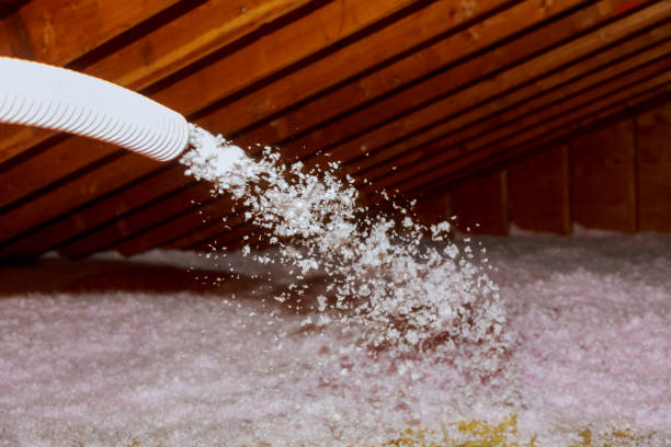 Best Types of Insulation in Defuniak Springs, FL